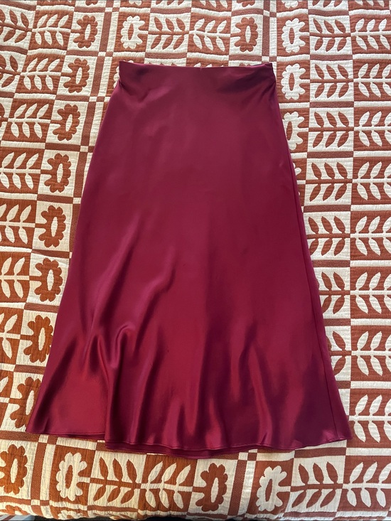 Quince Dresses & Skirts - Quince Washable Silk Slip Skirt